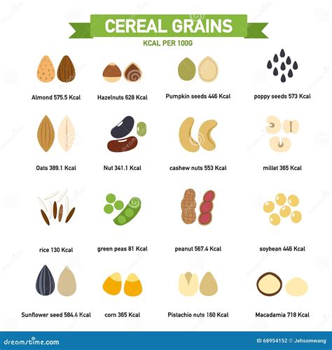Kilocalorie In Cereal Grains Per100 Gram Infographicsvector Stock
