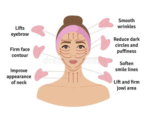 How To Do Gua Sha Massage Infographic Facial Massage Direction Scheme Stock Vector