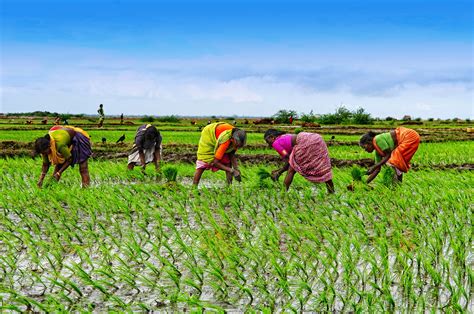 These Small Gatherings Empower African Women In Agriculture Ventures