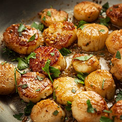 Classic Seared Scallops Recipe Steps Video How To Cookrecipes