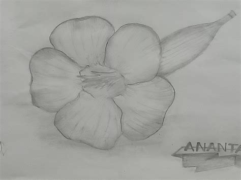 Gambar Flora Dan Fauna Alam Benda – Ilmu