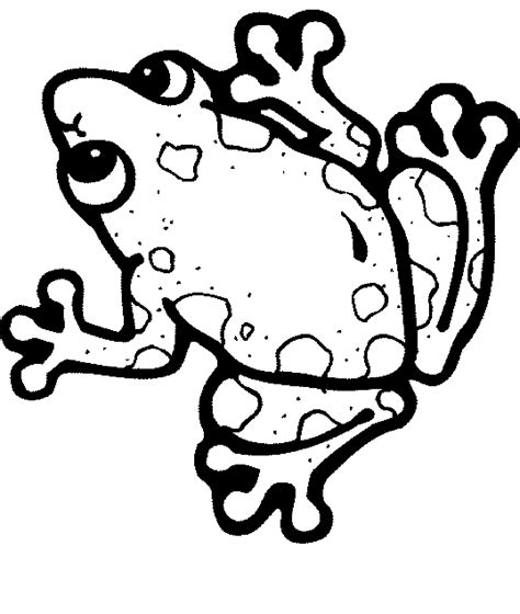 Free Frog Coloring Coloring Pages