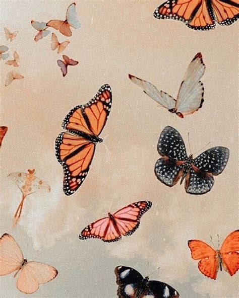 Download illustrated midsommar wallpapers, or sign up for a24 emails to get a 8.5 x 11 printable pdf. Fawnstar Jewelry on Instagram: "🦋" in 2020 | Iphone background vintage, Background vintage ...