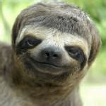 Meme pictures without text confused. funny-pictures-without-captions-these-funny-animals-656 ...