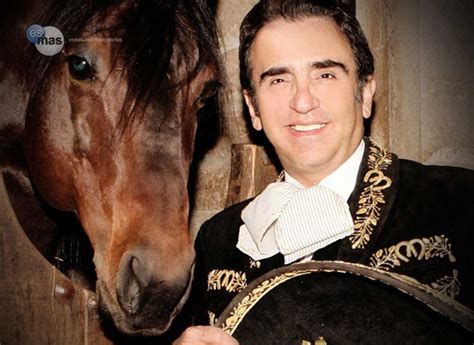 11 hours ago · entretenimiento vicente fernández jr. Vicente Fernandez Jr. - M&M Group