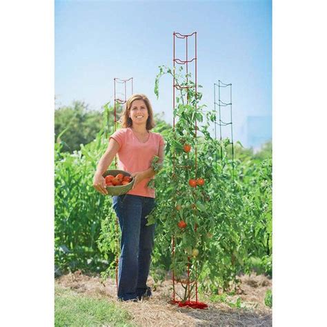 Stacking Tomato Ladders Set Of 6 Settings Plant Supports Garden