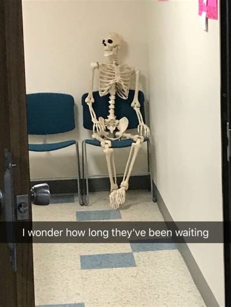 20 Funny Skeleton Memes Youll Be So Happy To See Today