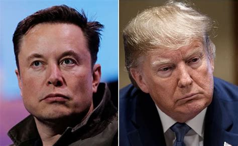 Will Donald Trump Return To Twitter Elon Musk Comments