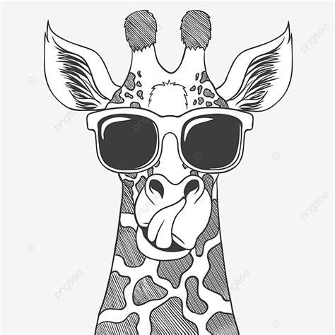 Giraffe Wearing Eyeglasses Hand Drawn Vector Illustration Giraffe Drawing Rat Drawing Ring