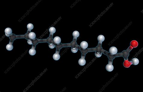 Decanoic Acid Molecular Model Stock Image F0318318 Science