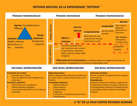 Historia Natural De Enfermedad Periodo Prepatogenicos Periodo The