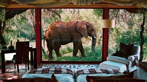 Top 10 Most Luxurious Safari Lodges In South Africa The Luxury