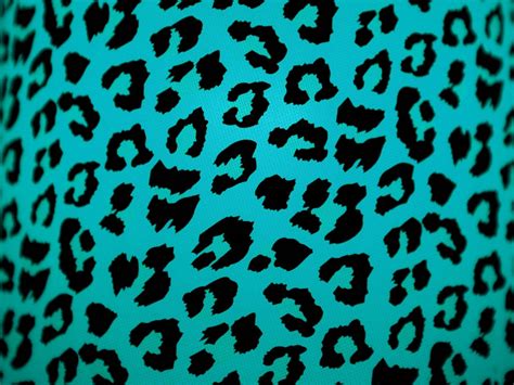 Colorful Leopard Iphone Wallpapers Wallpaper Cave