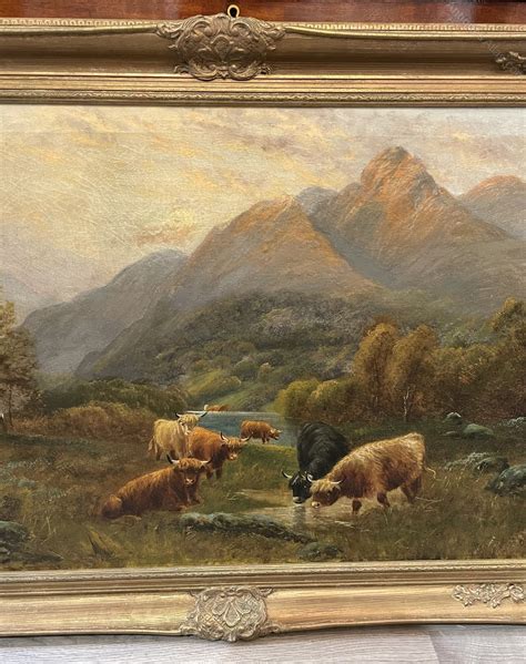 Antiques Atlas Highland Cattle Painting By Daniel Sherrin