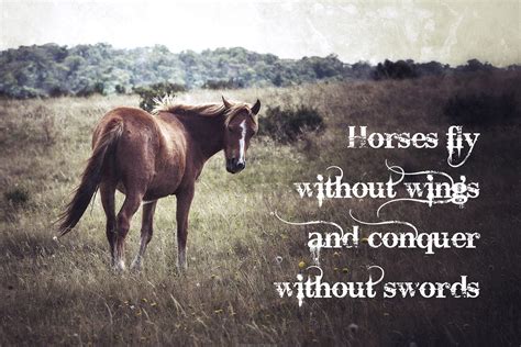 Horse Quotes Wallpapers Wallpaper Cave