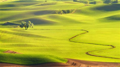 Palouse Green Rolling Hills Backiee