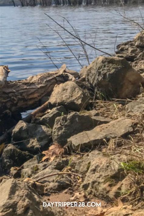 Ride offered from st paul to tulsa, via des moines and kansas city (saint paul, mn ramsey county ) pic hide this posting restore restore this posting favorite this post jul 6 Afton State Park Hiking Club Trail | Hiking Near St. Paul ...