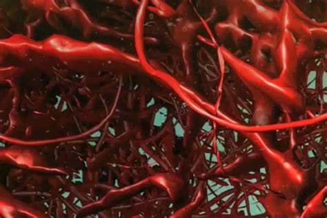 Scientists Have Successfully Grown Human Blood Vessels In A Petri Dish
