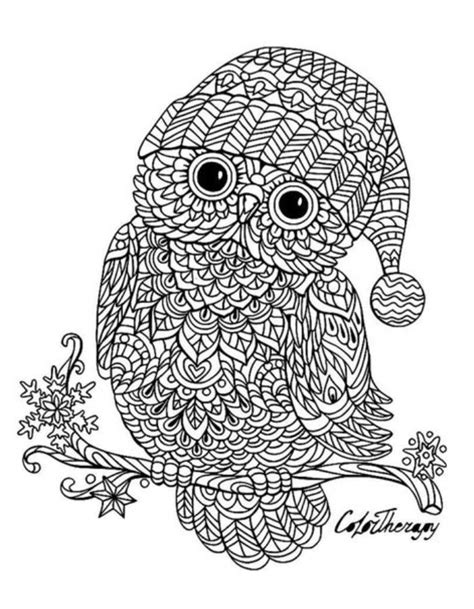 owl coloring pages free printable pdf sheets