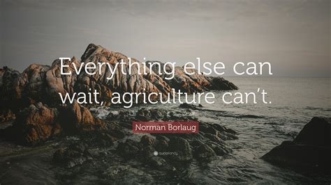 Norman Borlaug Quote Everything Else Can Wait Agriculture Cant