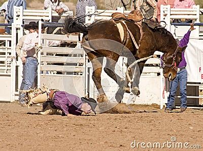 Rough Ride Stock Image Image Of Chestnut Crash Bronco