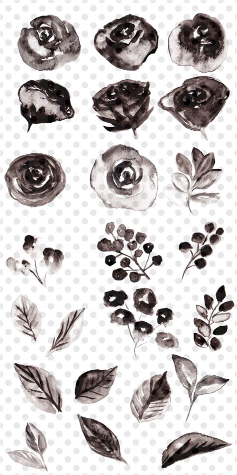 Black And White Watercolor Flowers Clipart