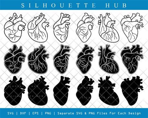 Human Heart Svg Cut Files Human Heart Silhouette Heart Svg Etsy