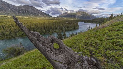 Takhini River Valley Yukon Territory Canada Nature Landscape Best Hd