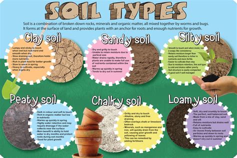 Soil Types Spaceright Europe Ltd