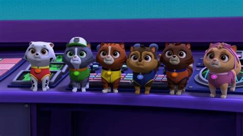 watch paw patrol pups and katie stop the barking kitty crew pups save the glasses s8 e10 tv