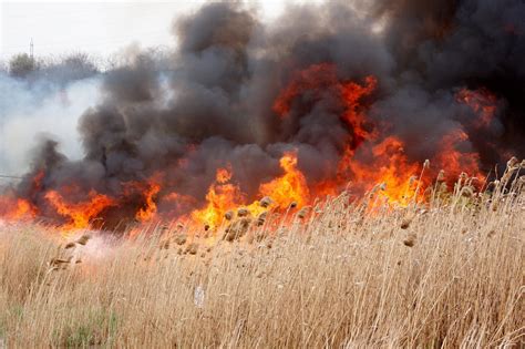 Jude Ul Sibiu Pe Locul N Rom Nia Cu Cele Mai Multe Incendii De Vegeta Ie Ora De Medias