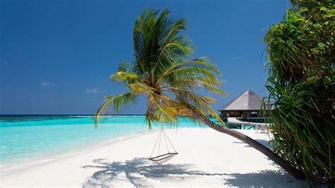 Vilamendhoo Island Resort And Spa I Maldivene Bestill Online Nå