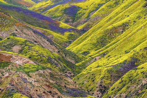 Color Valley Photograph By Peter Tellone Fine Art America