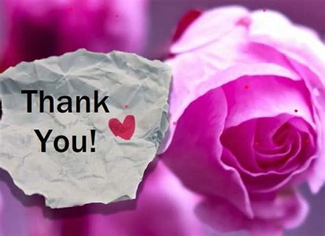 Just A Note To Say Cute Thank You Card Free For Everyone Ecards 123