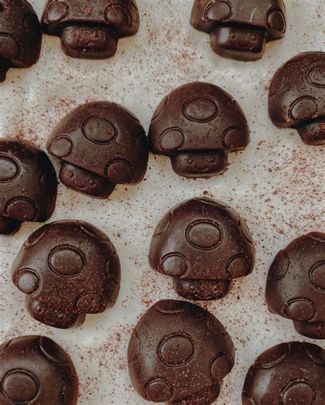 Mushroom Chocolates A Shroom Chocolates Recipe Doubleblind Mag