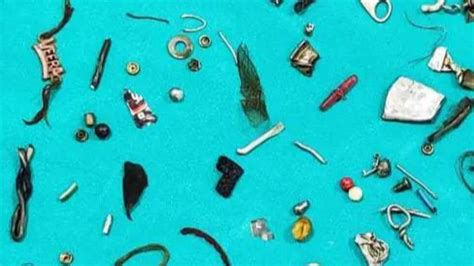 Understanding and Treating Pica: Causes, Symptoms, and Treatment