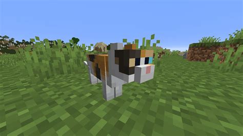 A quick tutorial showing in minecraft how to tame a cat just in case you wanna have a new kitten pet then i will show you taming cats in minecraft so you. How to Tame a Cat in Minecraft (2021) - Pro Game Guides