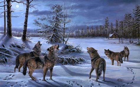 Gray wolf, wolves and red fox information, photos and fun facts. A pack of wolves howling at the moon wallpapers and images ...