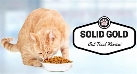 2 about solid gold cat food. Solid Gold Cat Food Review - TinPaw