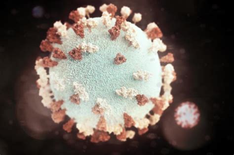 Mumps Outbreak Update In South Africa Outbreak News Today