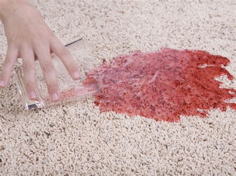 This is the fastest you can get from any carpet cleaner! How To Remove Milk From Carpet : How To Get Milk Out Of The Carpet In 4 Steps Plenty / For a ...
