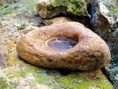 El DINERO y la pobreza patológica: La gota de agua