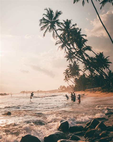 10 X Paradise Beaches In Sri Lanka Big Island Hawaii Island Beach