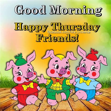 3 Piggy Good Morning Happy Thursday Friends Pictures Photos And