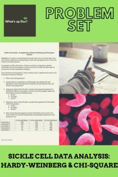 In a species of fish, a single gene controls color. Sickle Cell Data Analysis: Hardy-Weinberg and Chi-Square | Data analysis, Chi square, Data