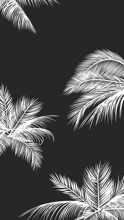 Black White Palm Leaves Palm Trees Like And Repin Noelito Flow Hd Phone