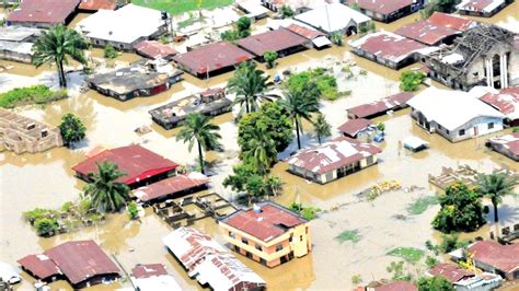 Eight Feared Dead As Flood Releases Pythons, Dangerous Sea Animals Into