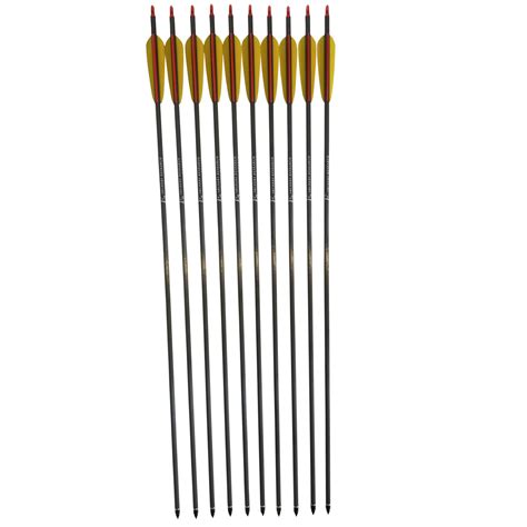 Arrows Carbon Fibre Arrows X 10 W Zoomer Vane Archery Supplies