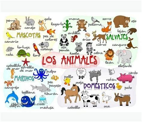 Spanish Animal Words 9c5