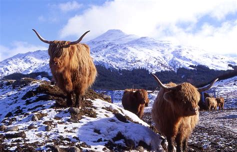 Sightseeing Ideas Isle Of Skye And Scottish Highlands